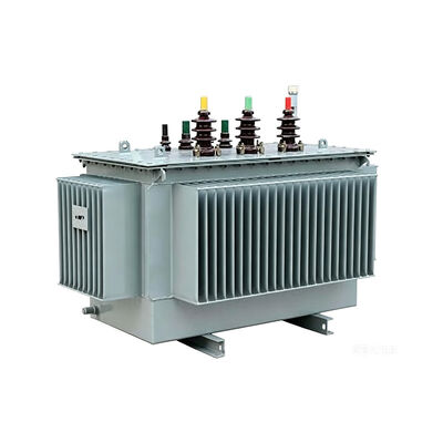 quality S22-M 10kV Fully Sealed Oil Immersed Distribution Transformer Oil Immersed Current Transformer factory